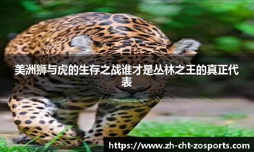 中欧体育官网
