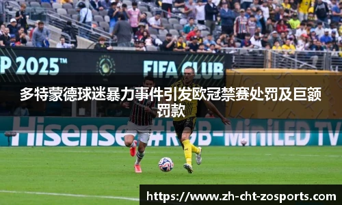 多特蒙德球迷暴力事件引发欧冠禁赛处罚及巨额罚款